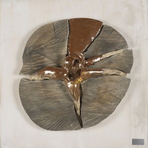 Joanna Januszkiewicz-Węcławowicz, Transformacje, 2017 r.