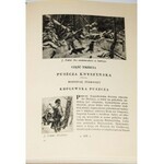 OSSENDOWSKI ANTONI F. - PUSZCZE POLSKIE. CUDA Polski. Piękno przyrody, pomniki pracy, zabytki dziejów.