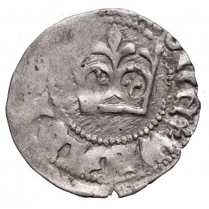 Vladislaus II, Halfgroat without date, Cracow