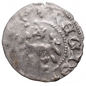 Vladislaus II, Halfgroat without date, Cracow