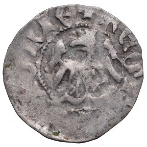 Vladislaus II, Halfgroat without date, Cracow - WLADISLA