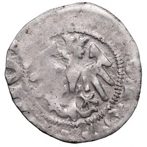 Vladislaus II, Halfgroat without date, Cracow - F‡