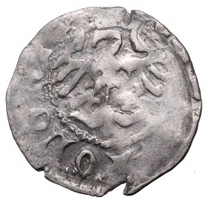 Vladislaus II, Halfgroat without date, Cracow - n