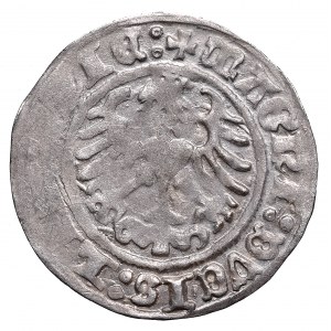 Sigismund I the Old, Halfgroat 1512, Vilnius - SIGISMVN^I