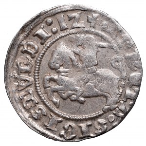 Zygmunt I Stary, Półgrosz 1512, Wilno - :1Z/LITVANIE: