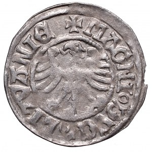 Alexander Jagellon, Halfgroat without date, Vilnius