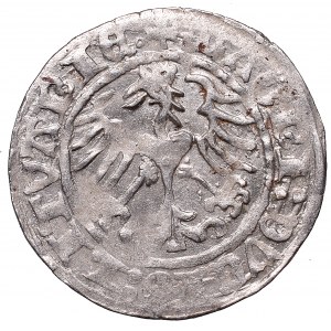 Sigismund I the Old, Halfgroat 1514, Vilnius