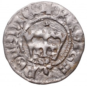 John I Olbracht, Halfgroat without date, Cracow