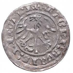 Zygmunt I Stary, Półgrosz 1512, Wilno :1Z/LITVANIE