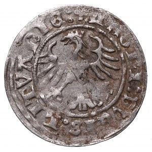 Sigismund I the Old, Halfgroat 1511, Vilnius