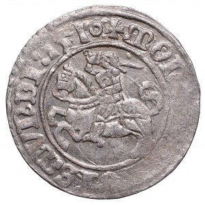 Sigismund I the Old, Halfgroat 1510, Vilnius