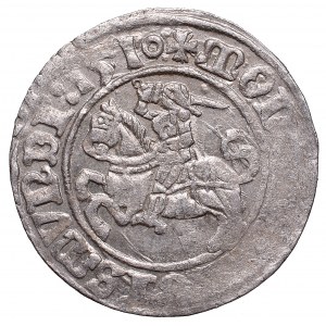 Zygmunt I Stary, Półgrosz 1510, Wilno - małe 0