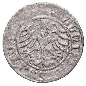 Sigismund I the Old, Halfgroat 1510, Vilnius