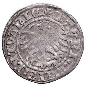 Sigismund I the Old, Halfgroat 1509, Vilnius