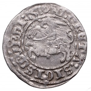Zygmunt I Stary, Półgrosz 1510, Wilno - :1510/LITVANIE: