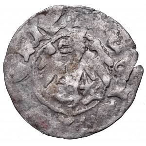 Vladislaus II, Halfgroat without date, Cracow