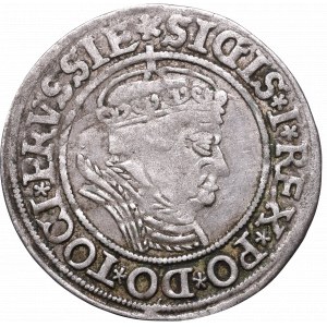 Sigismund I the Old, Groschen for Prussia 1535, Thorn