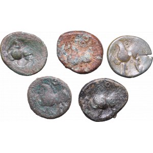 Danubian celts, Lot of AE-tetraDrachms Kugelwange type