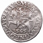 Zygmunt II August, Półgrosz 1565, Wilno -rzadkosć bez herbu Topór L/LITVA