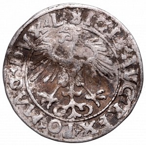 Sigismund II Augustus, Halfgroat 1553, Vilnius