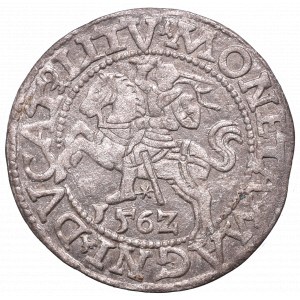 Sigismund II Augustus, Halfgroat 1562, Vilnius