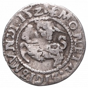 Sigismund I the Old, Halfgroat 1524, Vilnius