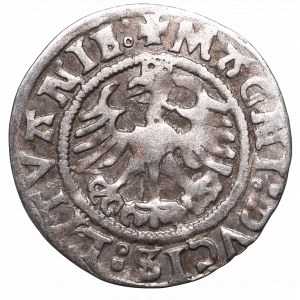 Zygmunt I Stary, Półgrosz 1524, Wilno - rzadkość :1524/LITVANIE: