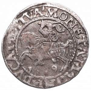 Sigismund II Augustus, Halfgroat 1559, Vilnius