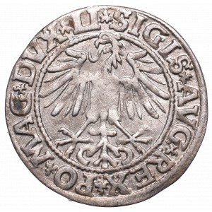 Sigismund II Augustus, Halfgroat 1549, Vilnius