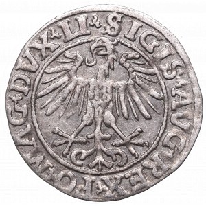 Sigismund II Augustus, Halfgroat 1551, Vilnius
