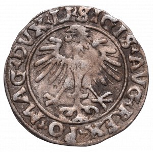 Sigismund II Augustus, Halfgroat 1556, Vilnius