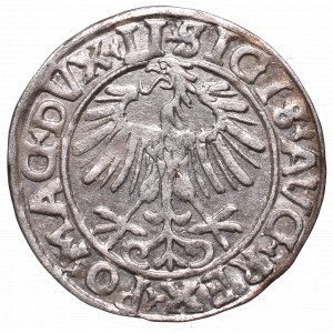 Sigismund II Augustus, Halfgroat 1556, Vilnius