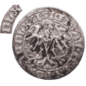 Zygmunt II August, Półgrosz 1557, Wilno - DA/VX