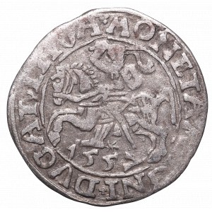 Sigismund II Augustus, Halfgroat 1557, Vilnius