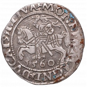 Sigismund II Augustus, Halfgroat 1560, Vilnius