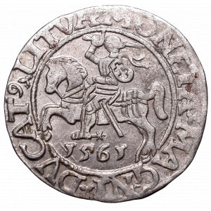 Sigismund II Augustus, Halfgroat 1561, Vilnius