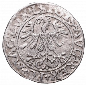 Sigismund II Augustus, Halfgroat 1561, Vilnius