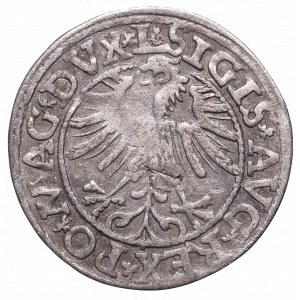 Zygmunt II August, Półgrosz 1563, Wilno - Topór L/LITV