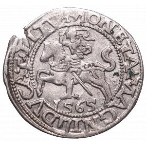 Sigismund II Augustus, Halfgroat 1565, Vilnius