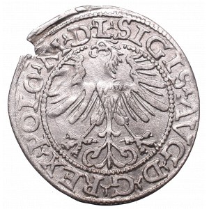 Sigismund II Augustus, Halfgroat 1565, Vilnius