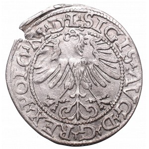 Zygmunt II August, Półgrosz 1565, Wilno - Topór L/LITV