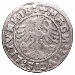 Sigismund I the Old, Halfgroat 1520, Vilnius