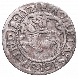 Sigismund I the Old, Halfgroat 1521, Vilnius