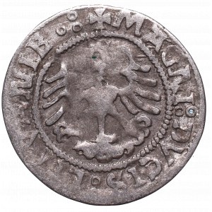 Sigismund I the Old, Halfgroat 1523, Vilnius - MONE^A