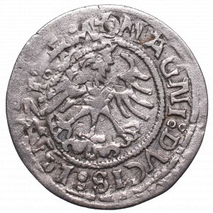 Sigismund I the Old, Halfgroat 121, Vilnius