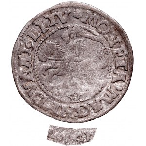 Sigismund II Augustus, Halfgroat 1545, Vilnius - L/LITV