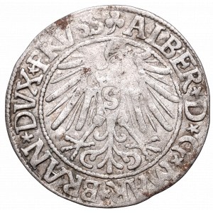 Prusy Książęce, Albrecht Hohenzollern, Grosz 1545, Królewiec