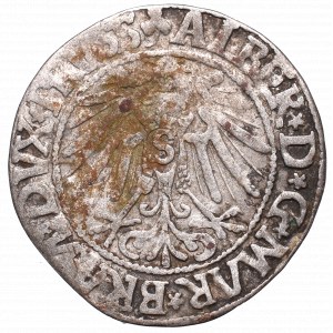 Prusy Książęce, Albrecht Hohenzollern, Grosz 1545, Królewiec - BRAИ