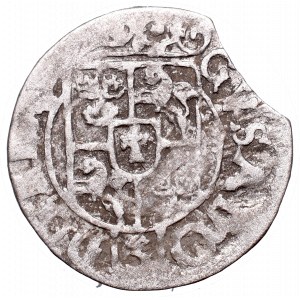 Szwedzka okupacja Elbląga, Gustaw Adolf, Półtorak 1632 - rzadkość w jabłku 60