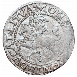 Sigismund II Augustus, Halfgroat 1564, Vilnius